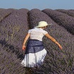 Foto A