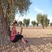Foto D