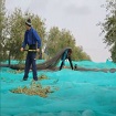 Foto C