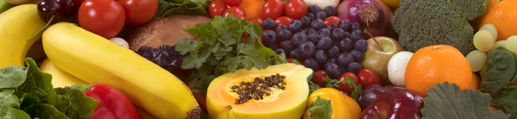 foto alimentos