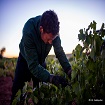 Foto Jóvenes Rurales