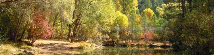Camino natural