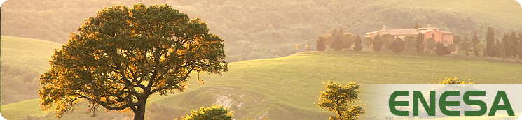 Paisaje rural