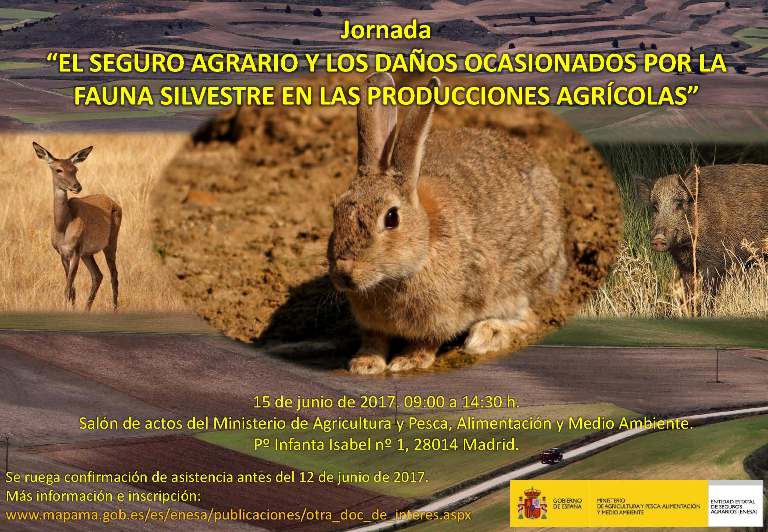 cartel jornada