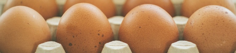 huevos