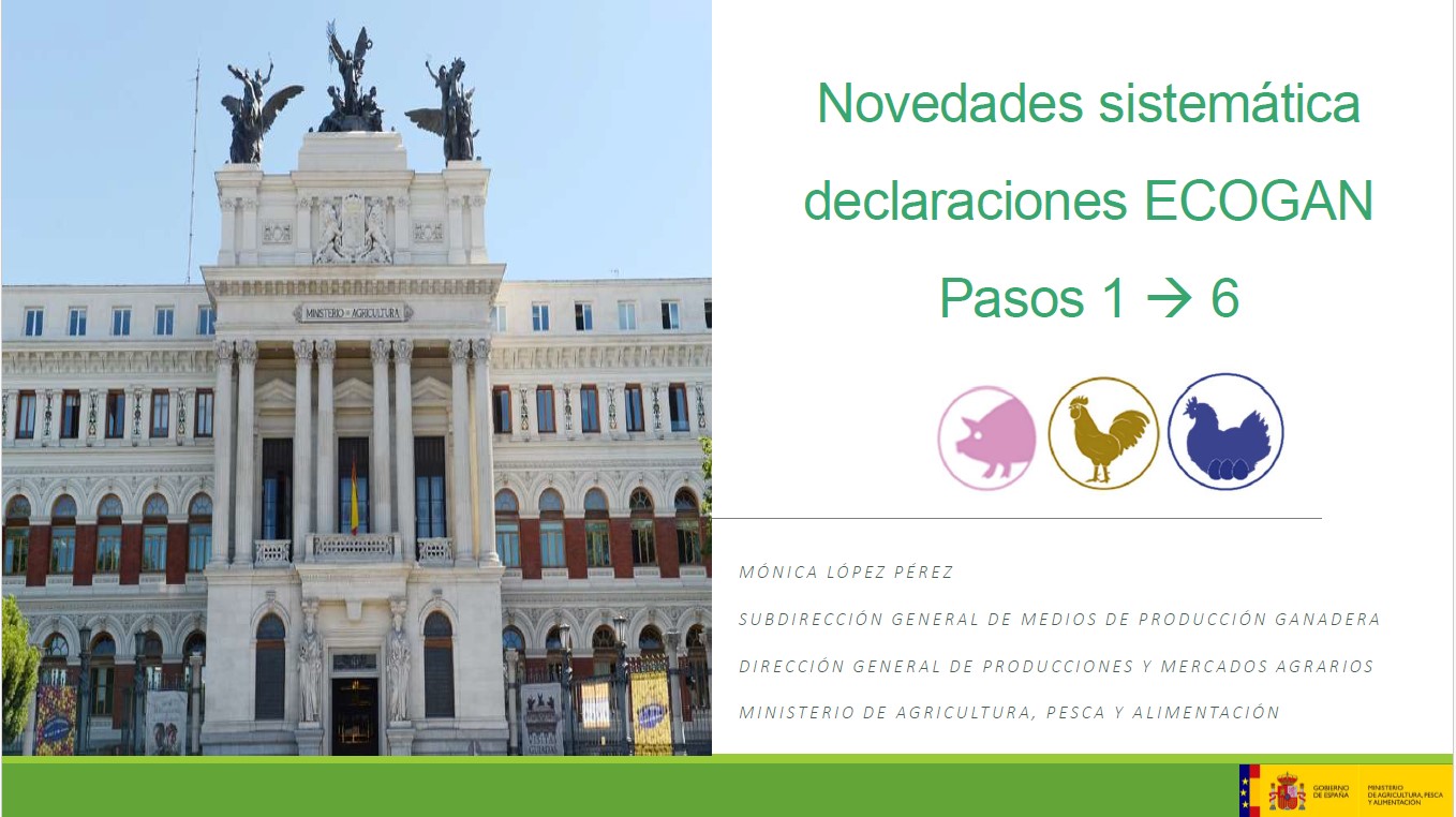 Portada 2