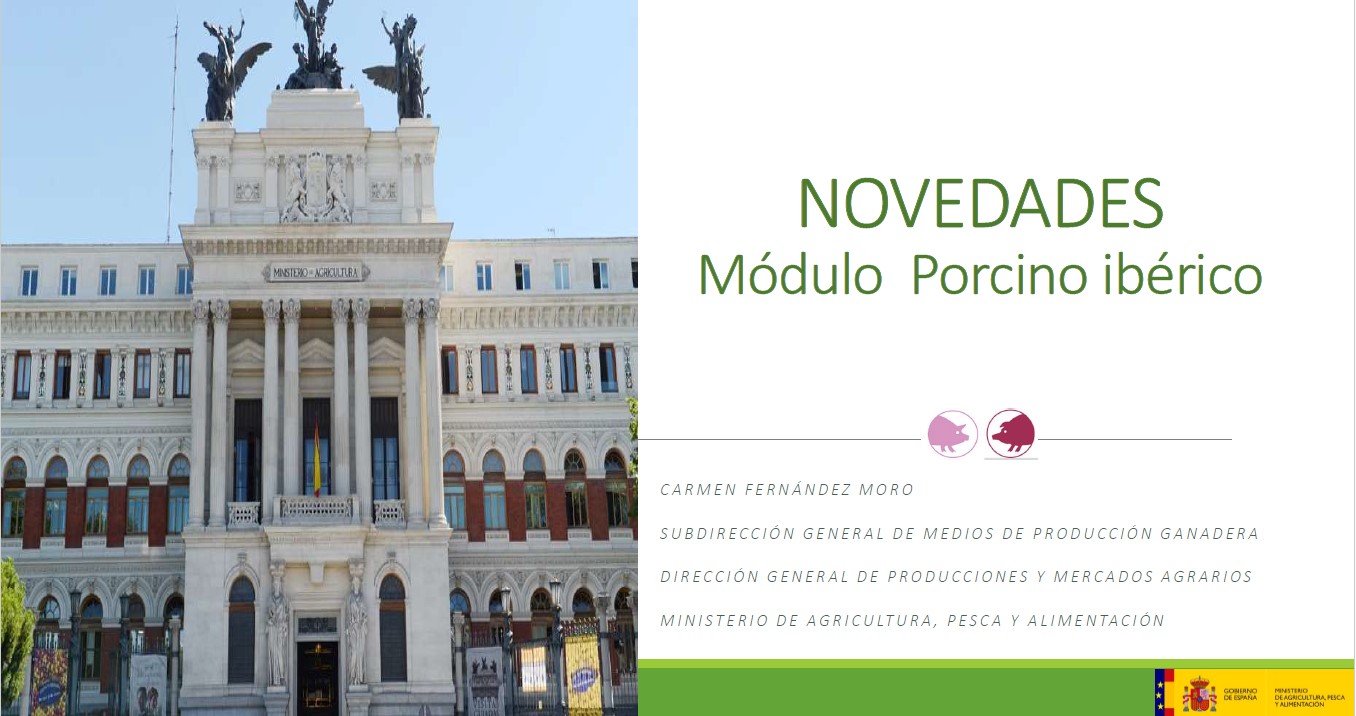 Portada 3