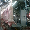 Foto matanza