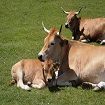 Foto portada granja