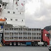 Foto transporte
