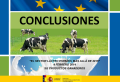 Conclusiones dela jornada.<br/>Ponente: D. Carlos Cabanas GOdino.