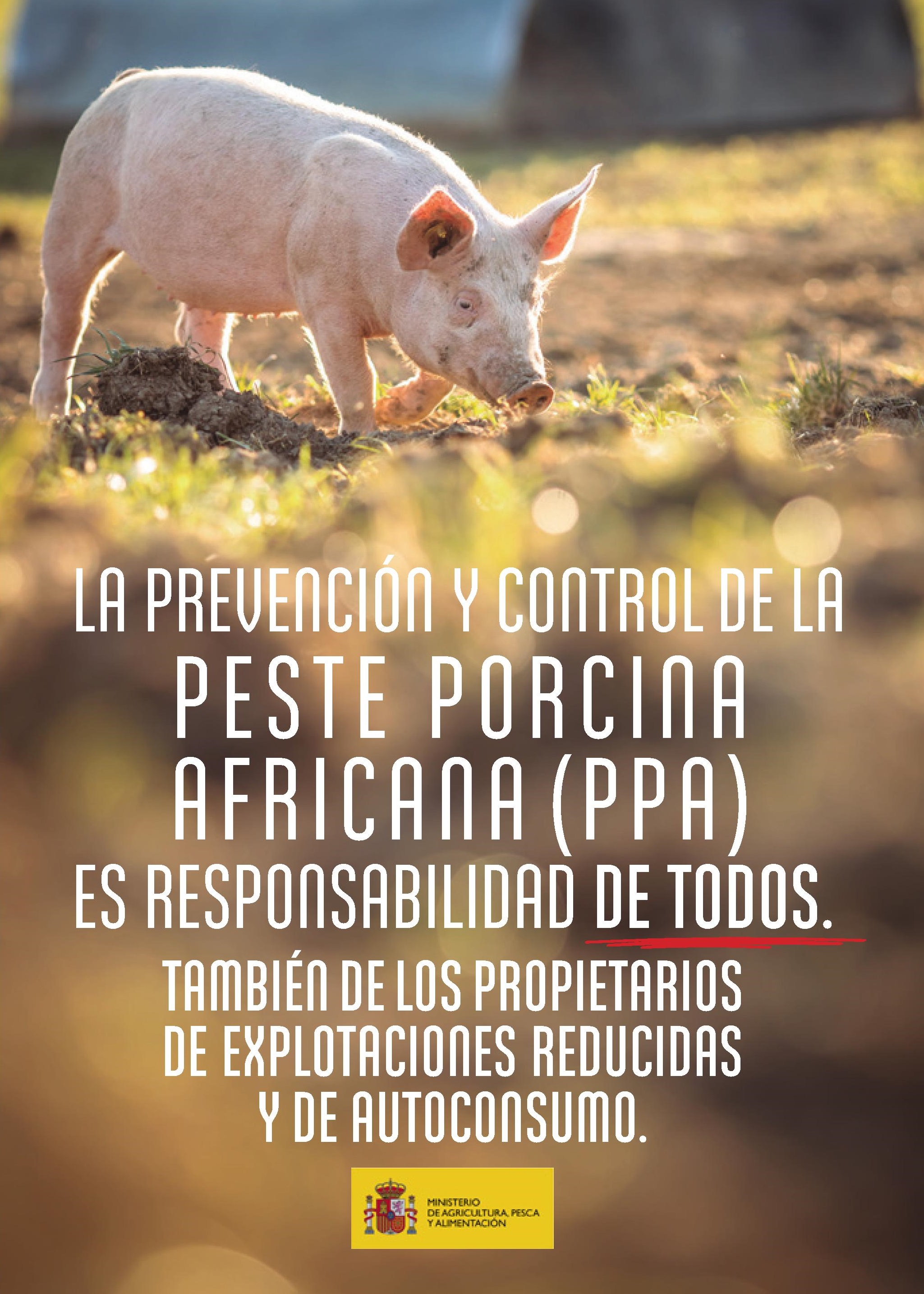Díptico explotaciones reducidas FINAL_portada