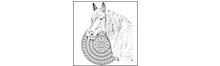 Lgotipo de la ASOCIACIÓN DE CRIADORES DE GANADO EQUINO DE RAZA HISPANO-BRETONA EN CANTABRIA "MANADAS"