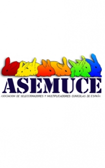 logo ASEMUCE