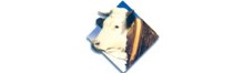 Logotipo de la ASOCIACIÓN NACIONAL DE CRIADORES DE GANADO VACUNO FLECKVIEH-SIMMENTAL DE ESPAÑA