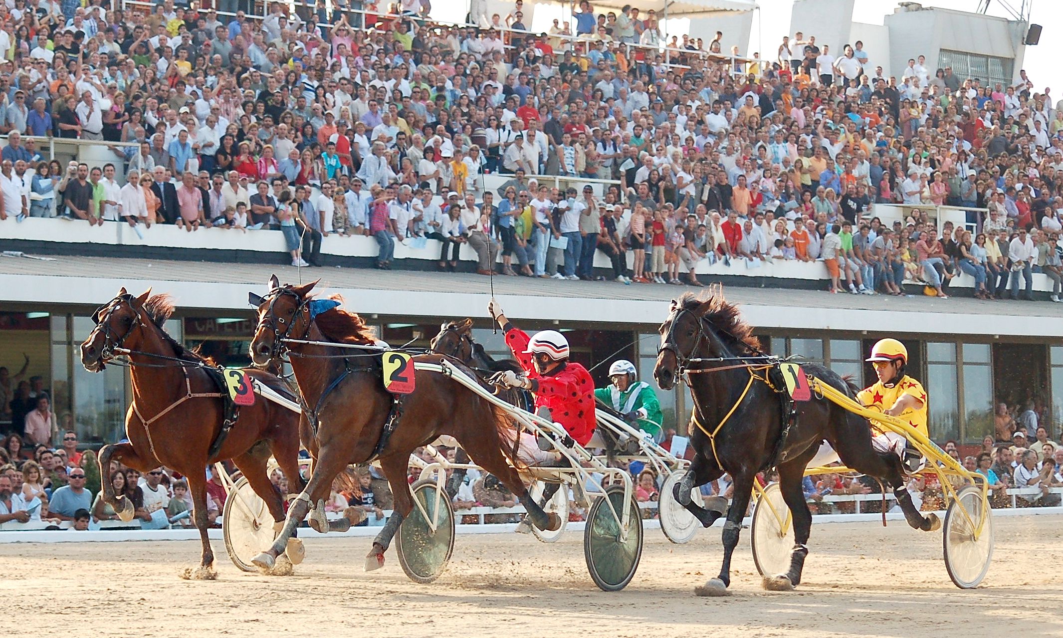 Autor: INFOTROT.<br/>Año: 2006.<br/>Comentario: llegada del Gran Premio Nacional. La vencedora, con el nº 2 fue "MIRA PRIM". El GPN es la carrera más importante del calendario Trotador en España, tanto por su enorme prestigio como por su dotación económica (100.000 €). Es una prueba reservada a potros y potrancas de 3 años nacidos y criados en España. Siempre se corre el tercer domingo de mayo en el hipódromo de Palma.<br/>Imagen facilitada por la Asociación de Criadores y Propietarios de Caballos Trotadores (ASTROT).