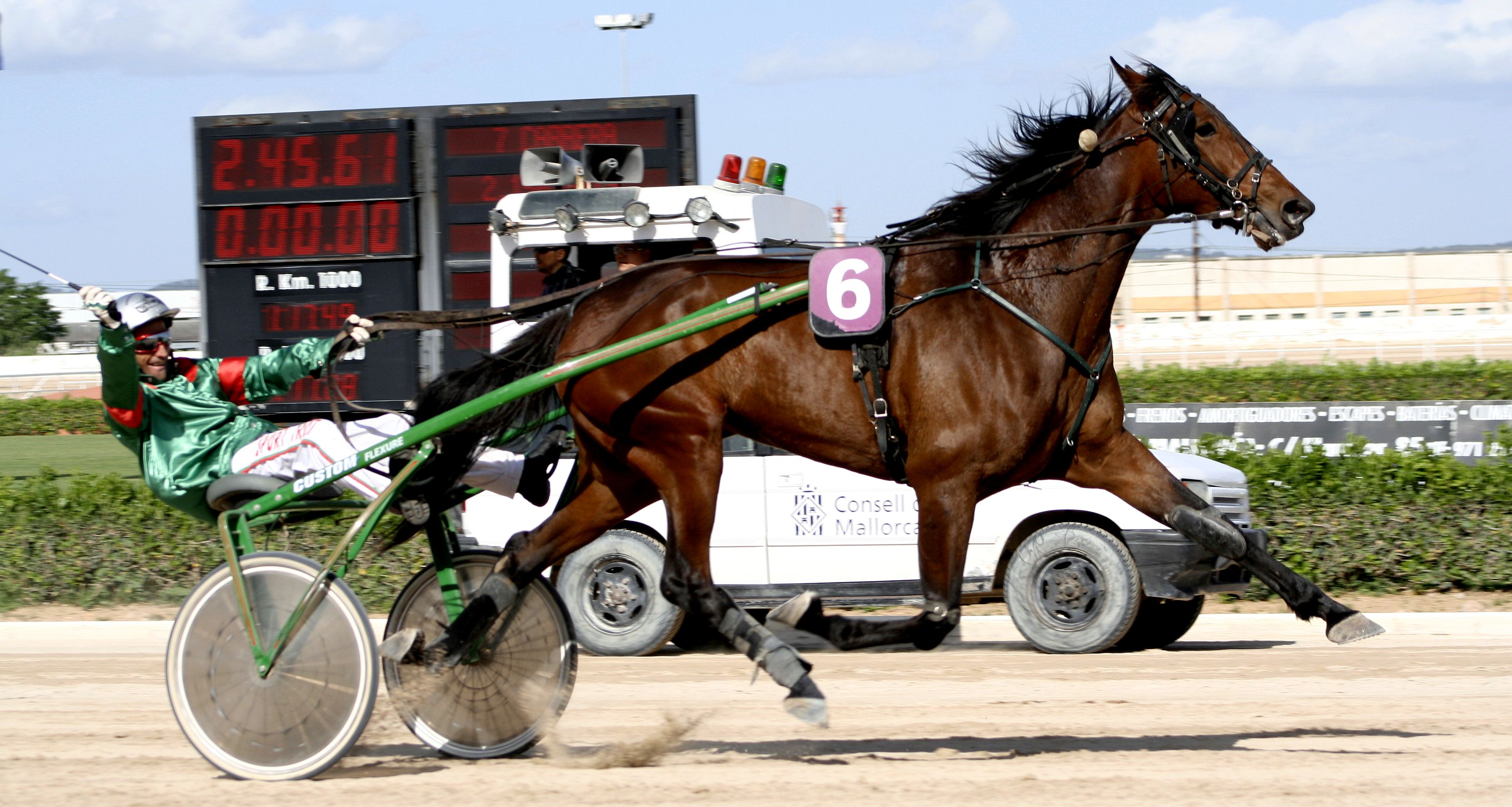 Autor: INFOTROT.<br/>Año: 2010.<br/>Sexo: Hembra.<br/>Comentario: “Omni Maker SB” es la yegua que ostenta el record absoluto de velocidad, 1.11.9 de media por kilómetro en una carrera de 1.609 mts en el hipódromo francés de Cagnes Sur Mer.<br/>Imagen facilitada por la Asociación de Criadores y Propietarios de Caballos Trotadores (ASTROT).