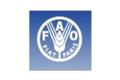 FAO