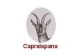 El mundo caprino español 