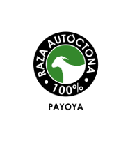Logotipo "raza autóctona" Payoya
