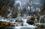 &#169; Antonio Real