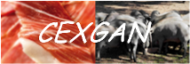 CEXGAN