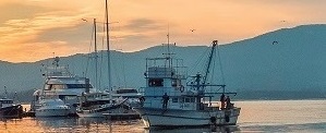 Barco de pesca