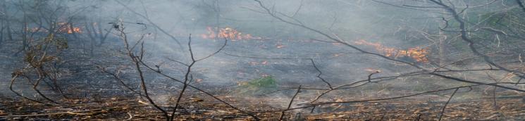 Incendio (banner)