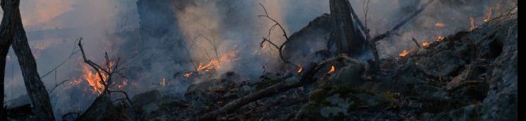 incendio 2 (banner)