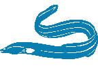 Anguila