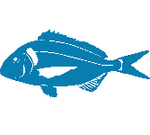 Dorada