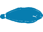 Lenguado