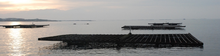 Bateas
